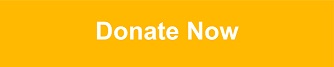 Donate Now 01