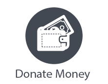 Donate money