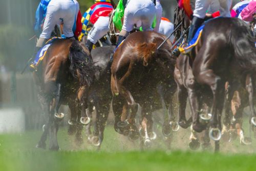 doncaster races
