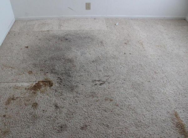A clean home will sell quicker and for more