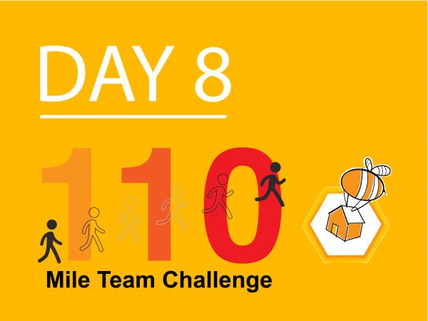 Day 8 of 110 Mile Challenge 01