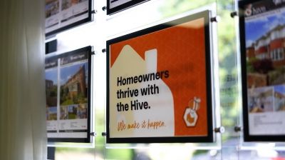 Thrive with the Hive